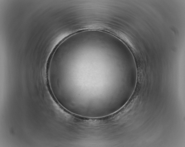 X0000111601087200907161548