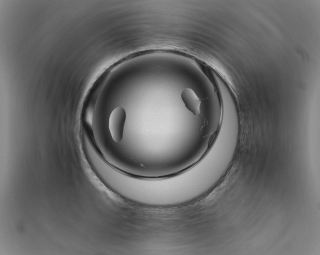 X0000111601088200907161548