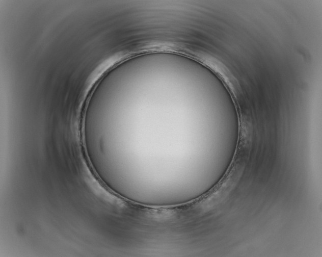 X0000111601090200907161548