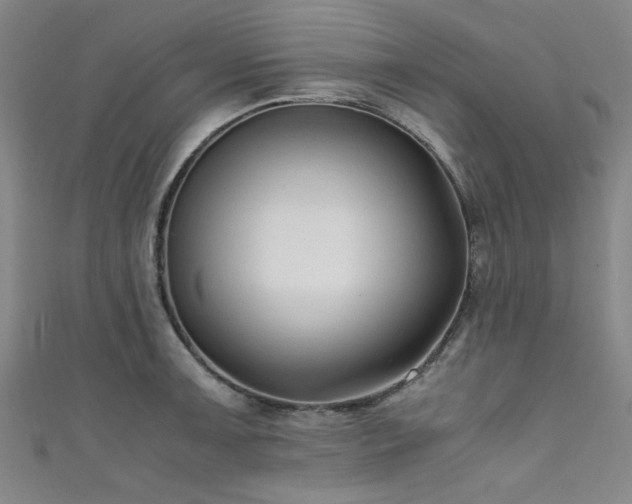 X0000111601091200907161548