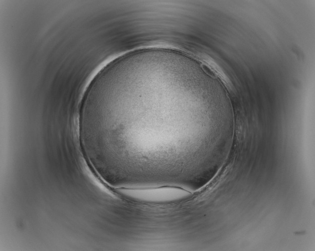 X0000111601092200907161548