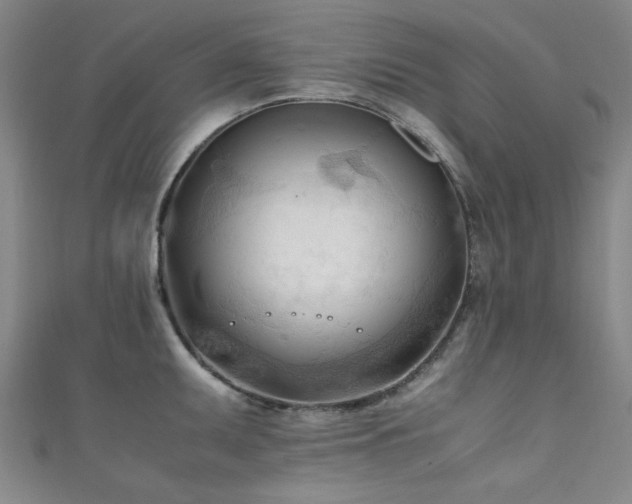X0000111601095200907161548