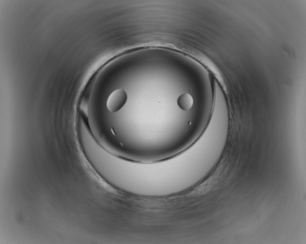 X0000111601096200907161548