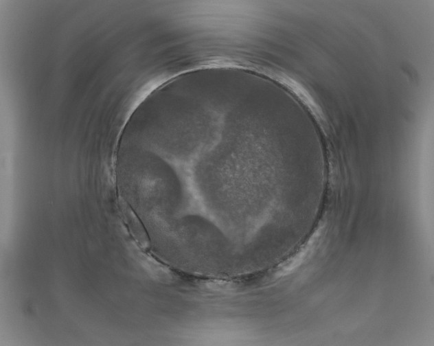 X0000111601097200907161548