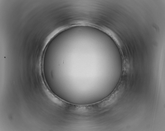 X0000111601098200907161548
