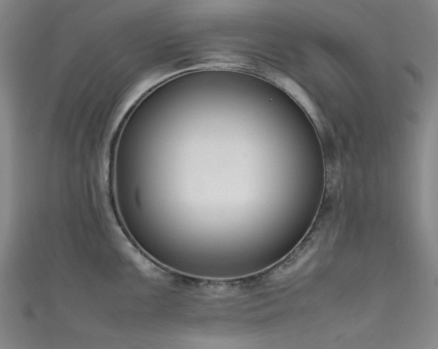 X0000111601099200907161548