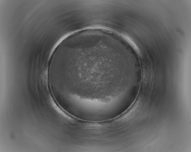 X0000111601100200907161548