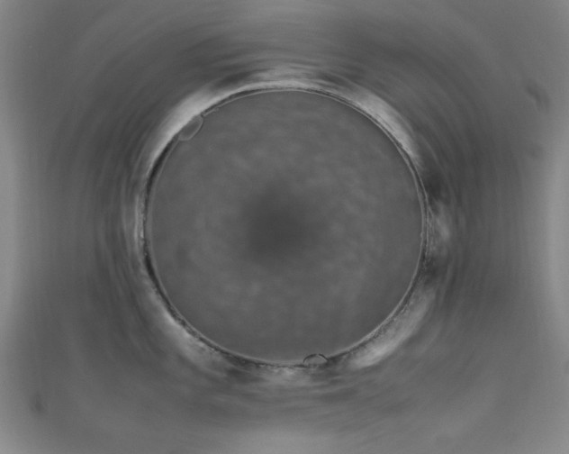 X0000111601101200907161548