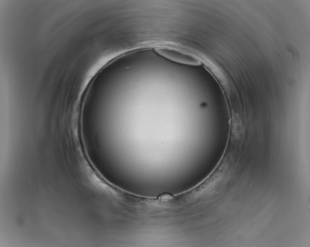 X0000111601102200907161548