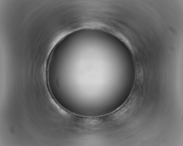 X0000111601103200907161548