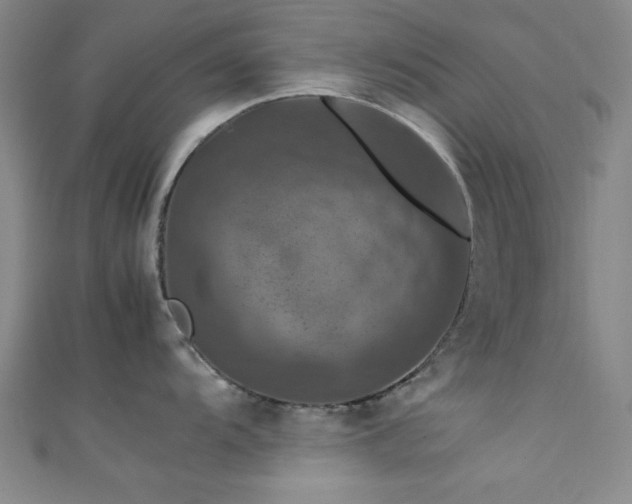X0000111601104200907161548
