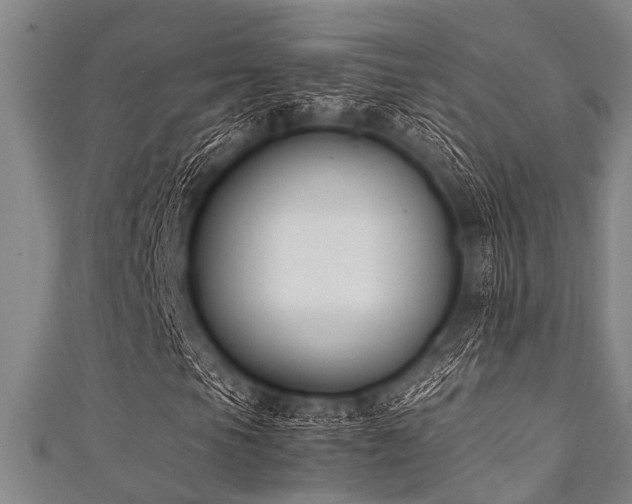 X0000111601105200907161547