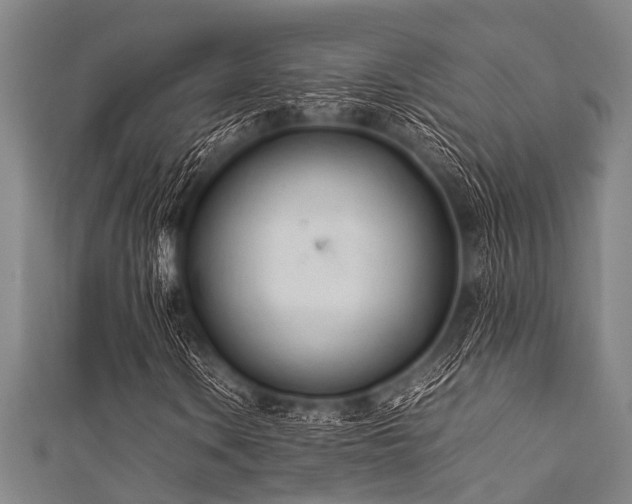 X0000111601106200907161547