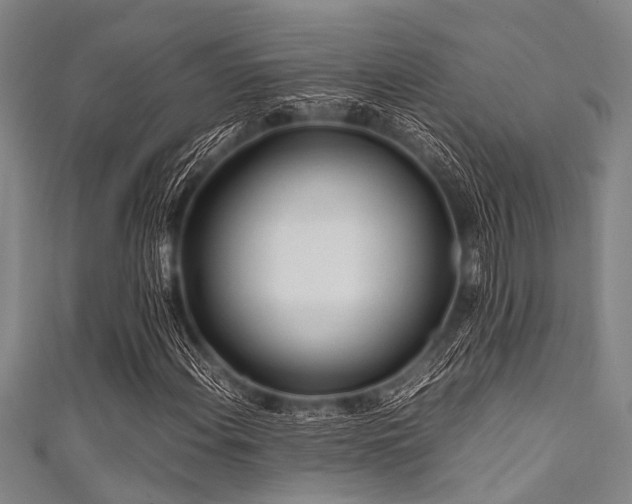X0000111601108200907161547