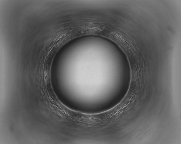X0000111601109200907161547
