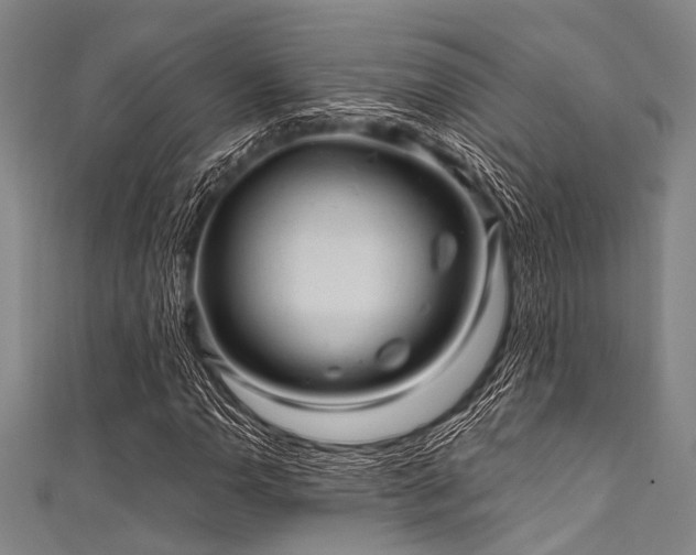 X0000111601110200907161547
