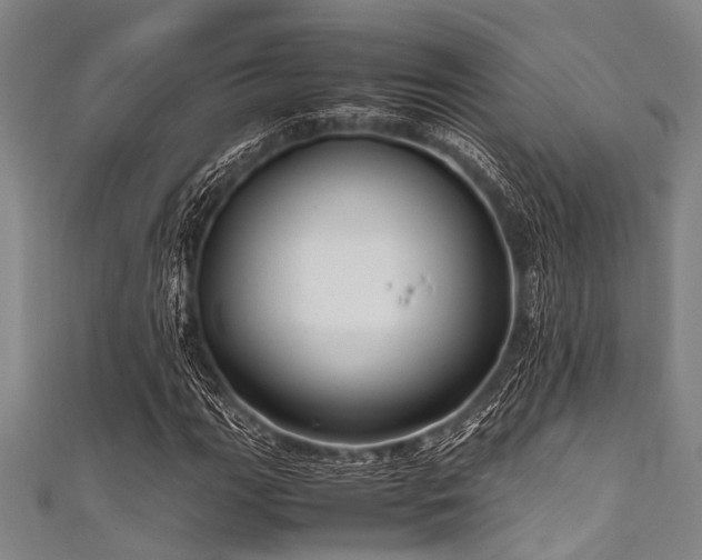 X0000111601111200907161547