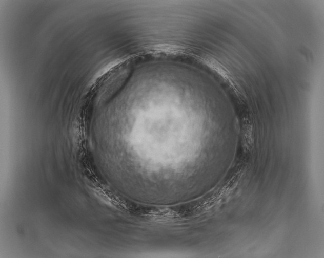 X0000111601112200907161547