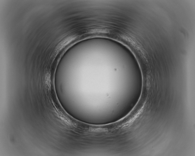 X0000111601113200907161547