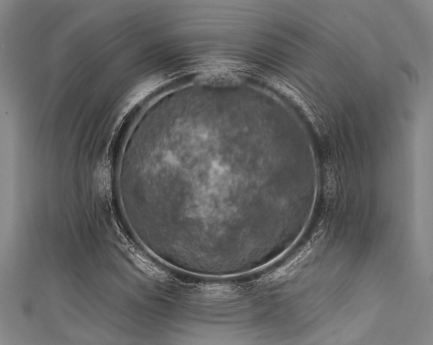 X0000111601114200907161547