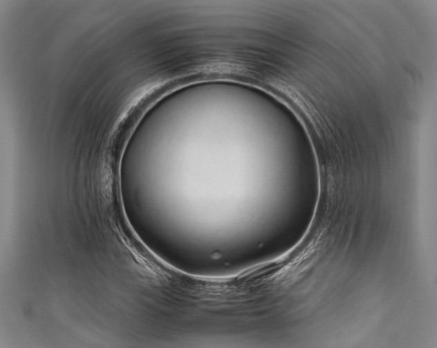 X0000111601115200907161547