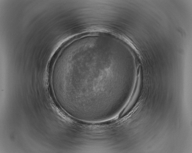 X0000111601116200907161547