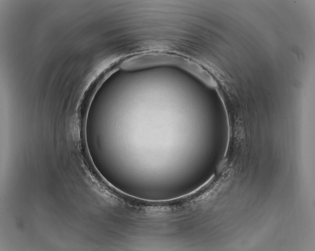 X0000111601118200907161547