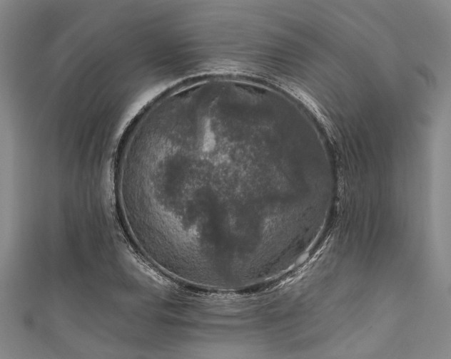X0000111601120200907161547