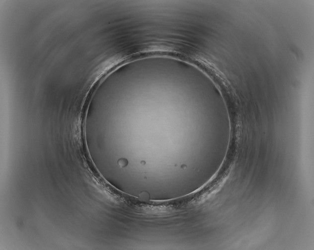 X0000111601121200907161547