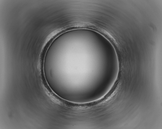 X0000111601122200907161547
