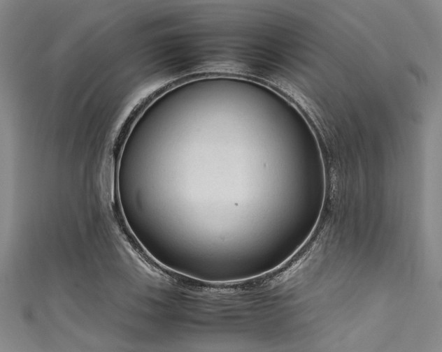 X0000111601123200907161547
