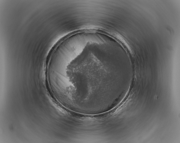 X0000111601124200907161547