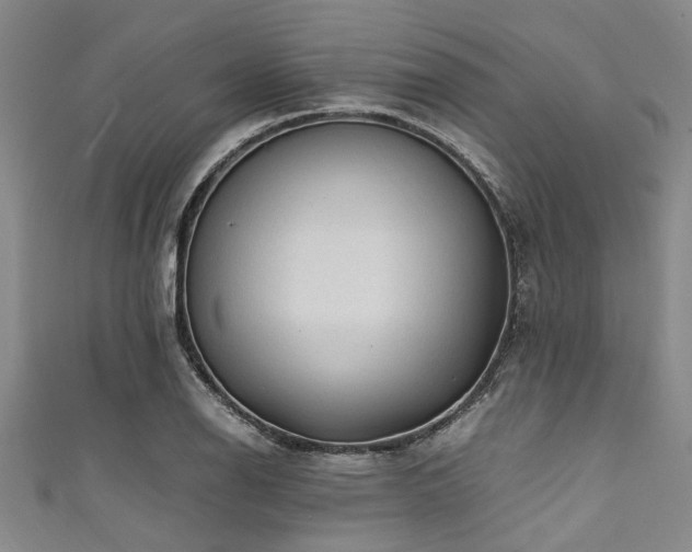 X0000111601126200907161547