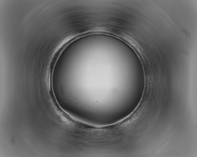 X0000111601127200907161547
