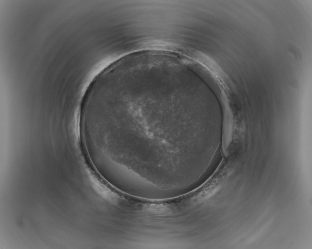 X0000111601128200907161547