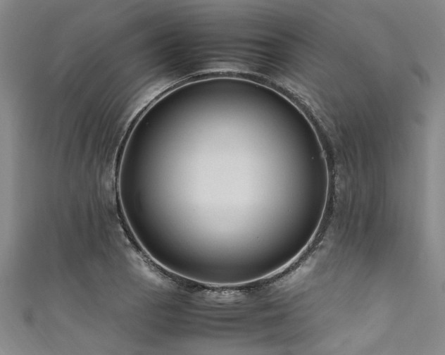 X0000111601129200907161547