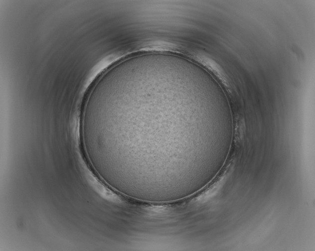 X0000111601130200907161547