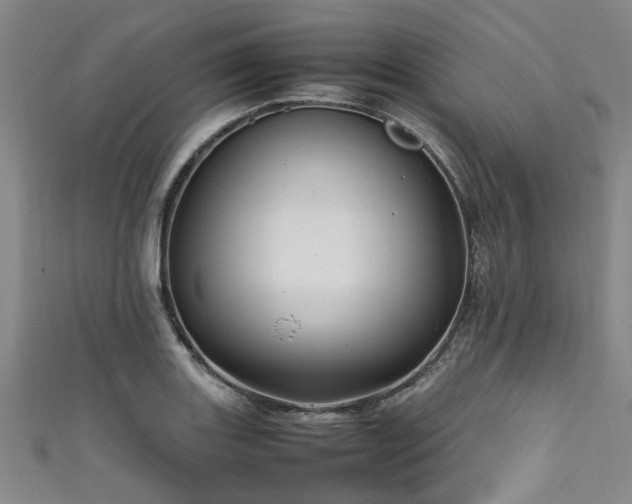 X0000111601131200907161547