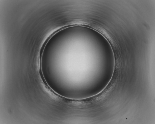 X0000111601132200907161547