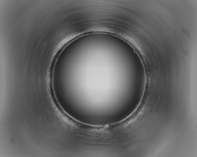 X0000111601133200907161547