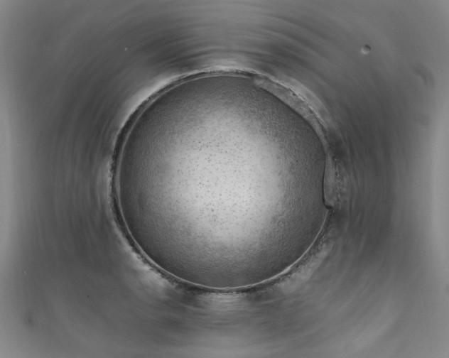 X0000111601134200907161547