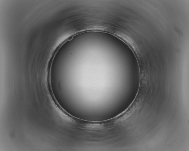 X0000111601135200907161547