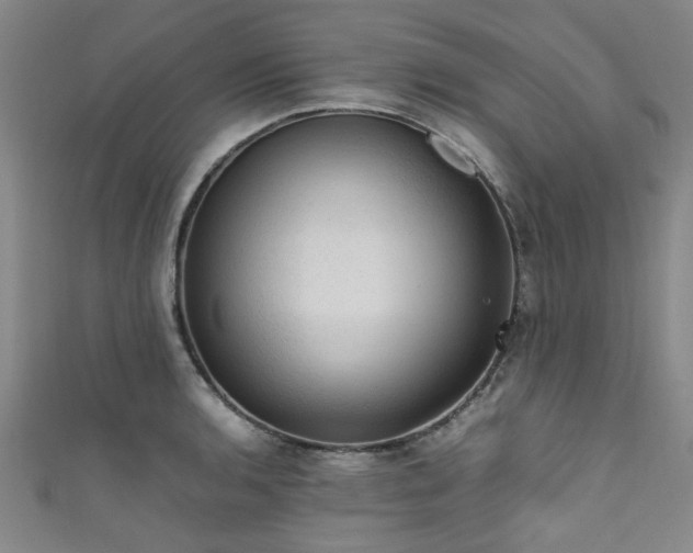 X0000111601136200907161547