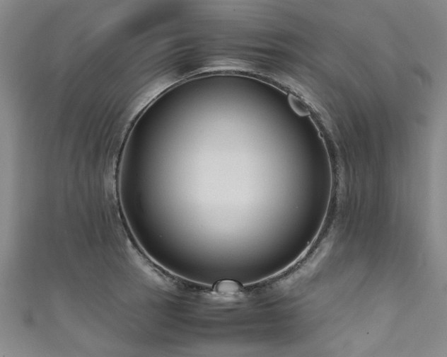 X0000111601137200907161547