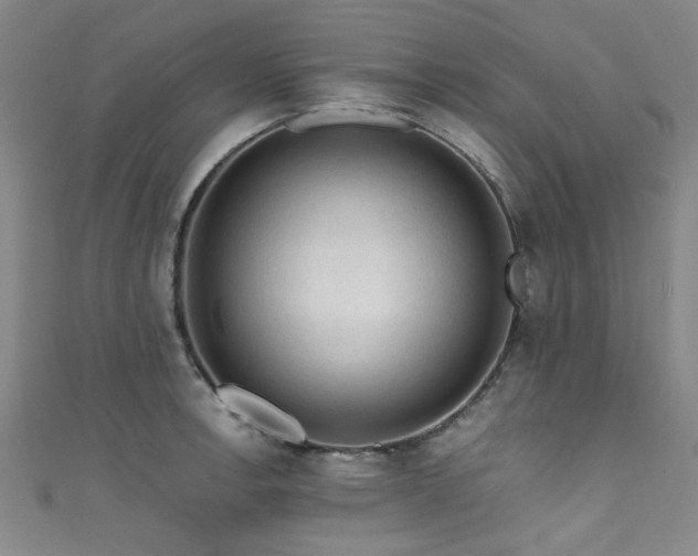 X0000111601138200907161547