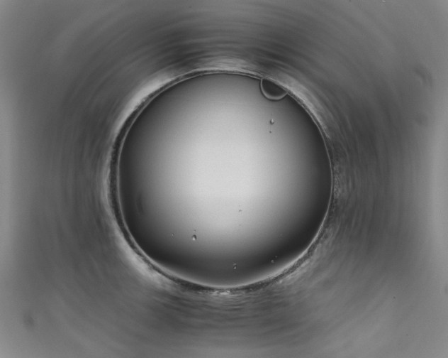 X0000111601139200907161547