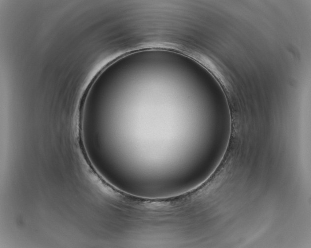 X0000111601140200907161547