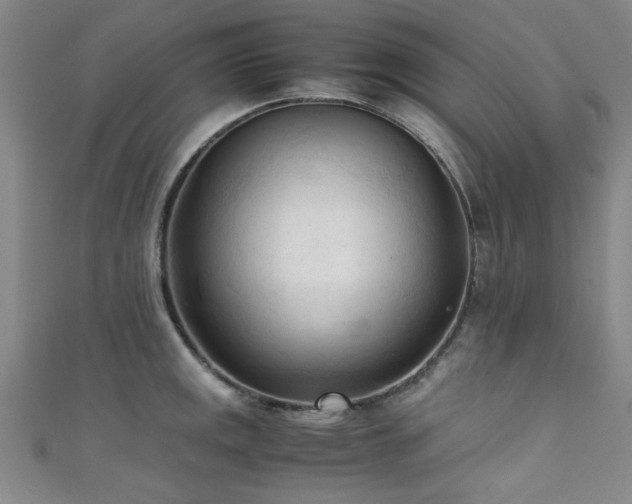 X0000111601141200907161547