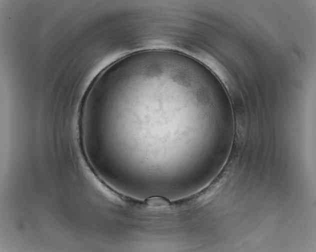 X0000111601142200907161547