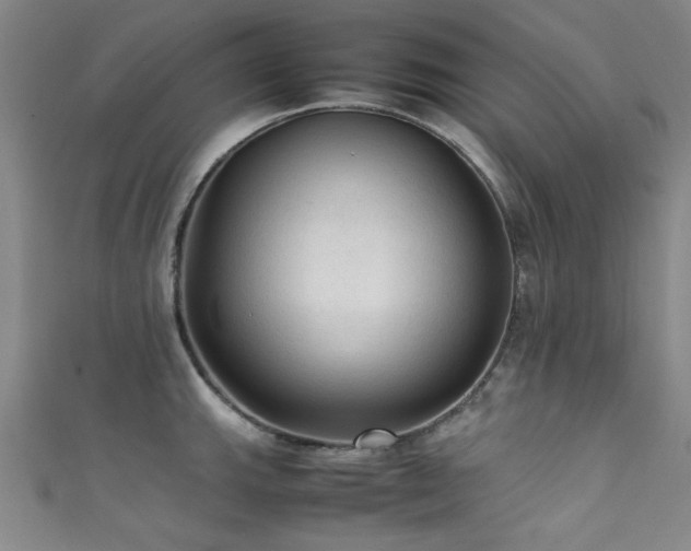 X0000111601143200907161548